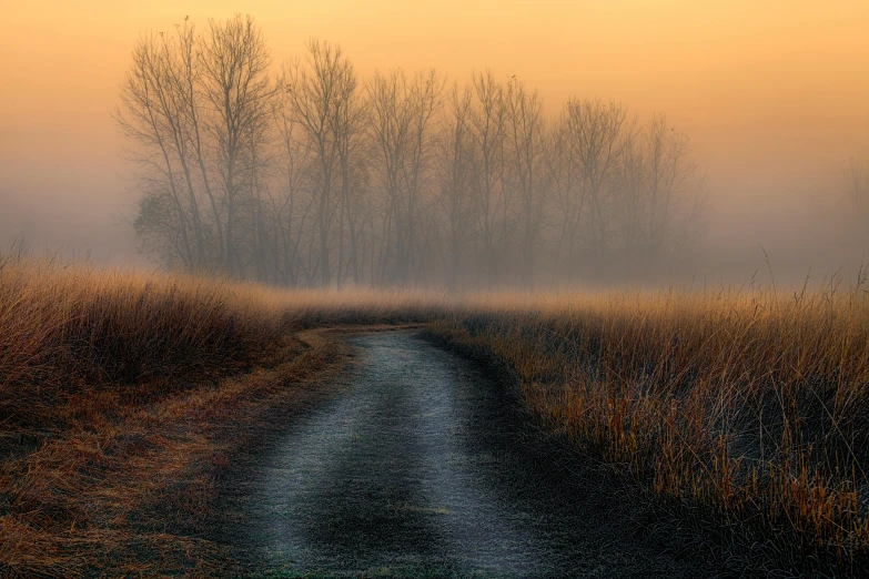 a foggy day is set over a dirt road