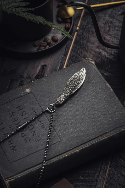 a feather celet and key on a black book