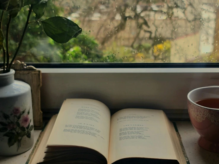 open book sitting next to cup with coffee and plant