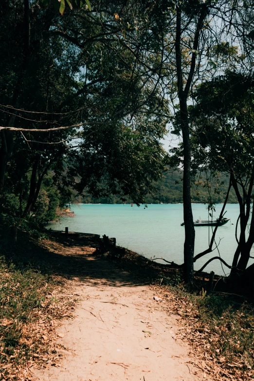 a dirt path in the shade leading towards a pond