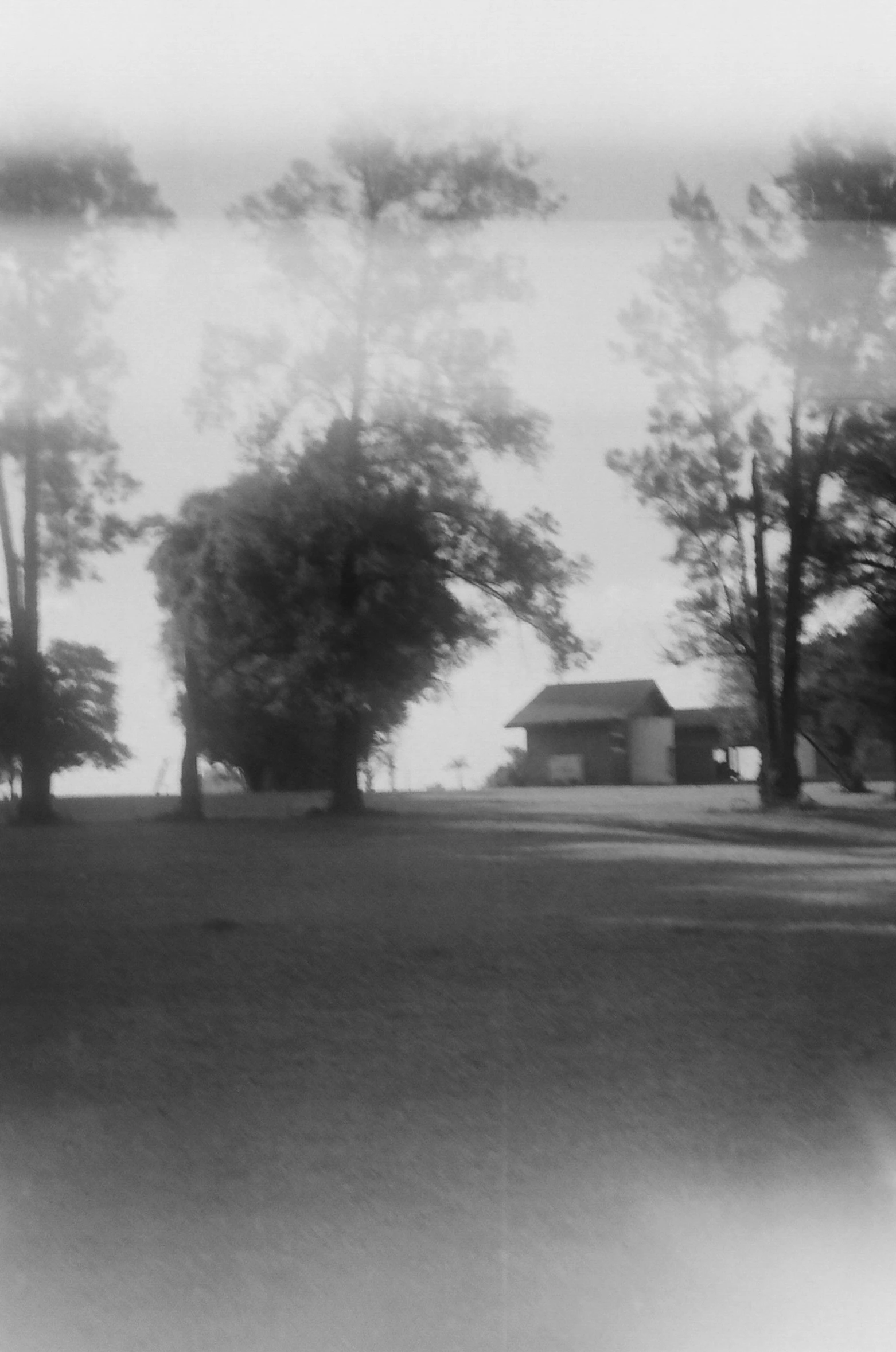 a small house and trees in the distance