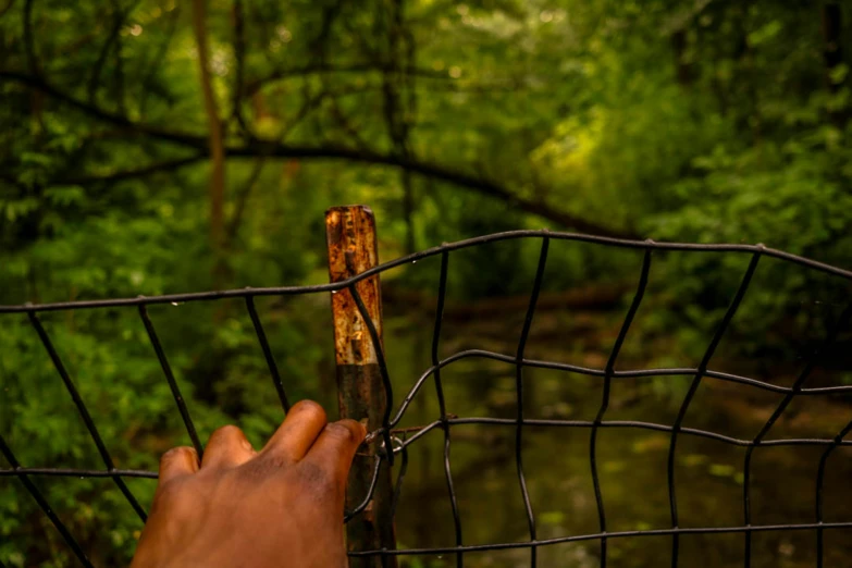 a hand holding a small pair of scissors on a fence