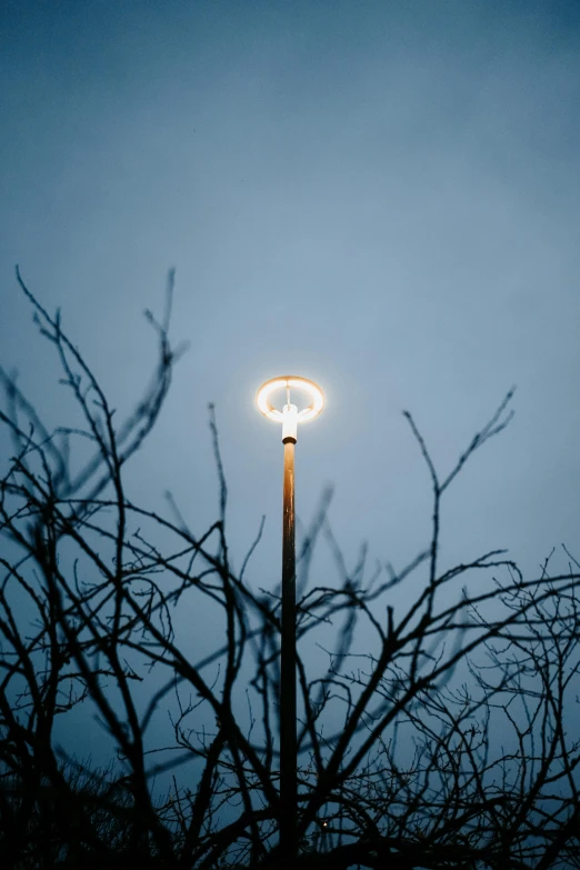 a street lamp surrounded by dead trees