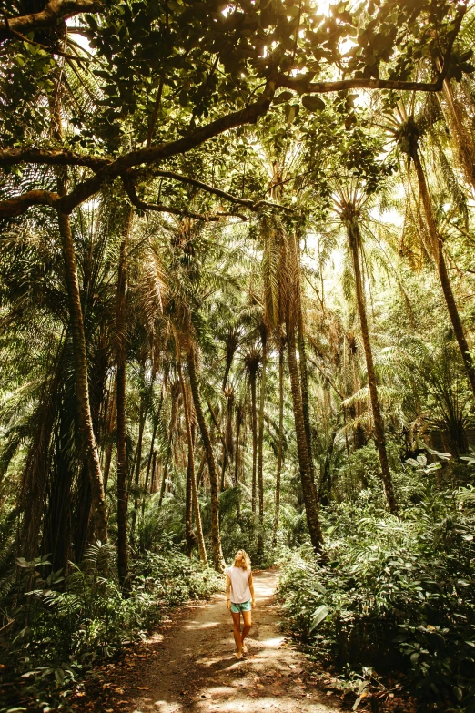 a little girl walking through some tall trees