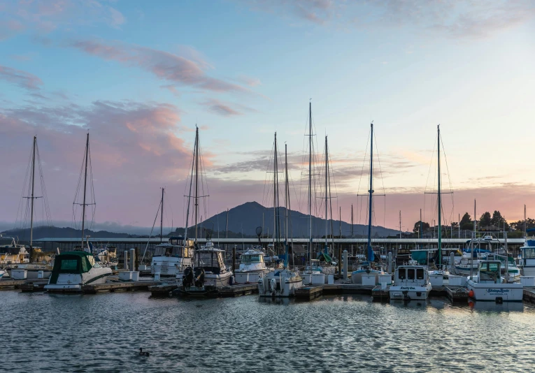 a large group of ships moored at a marina