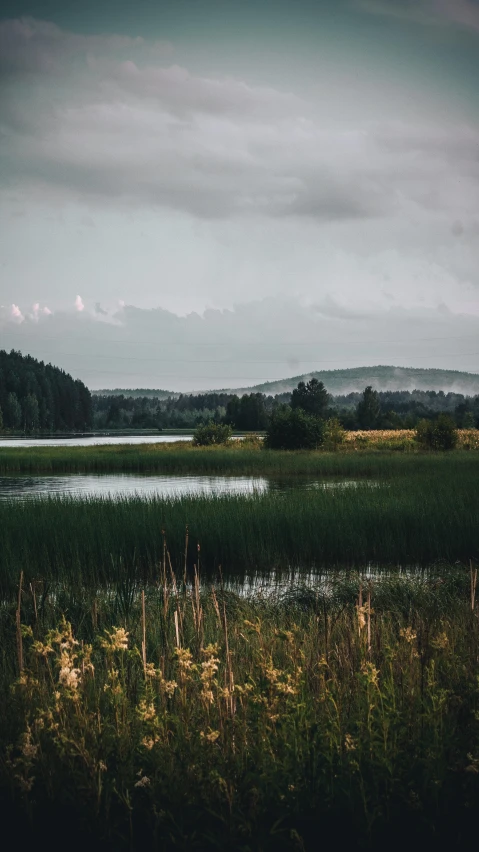 a lake and some grass near mountains