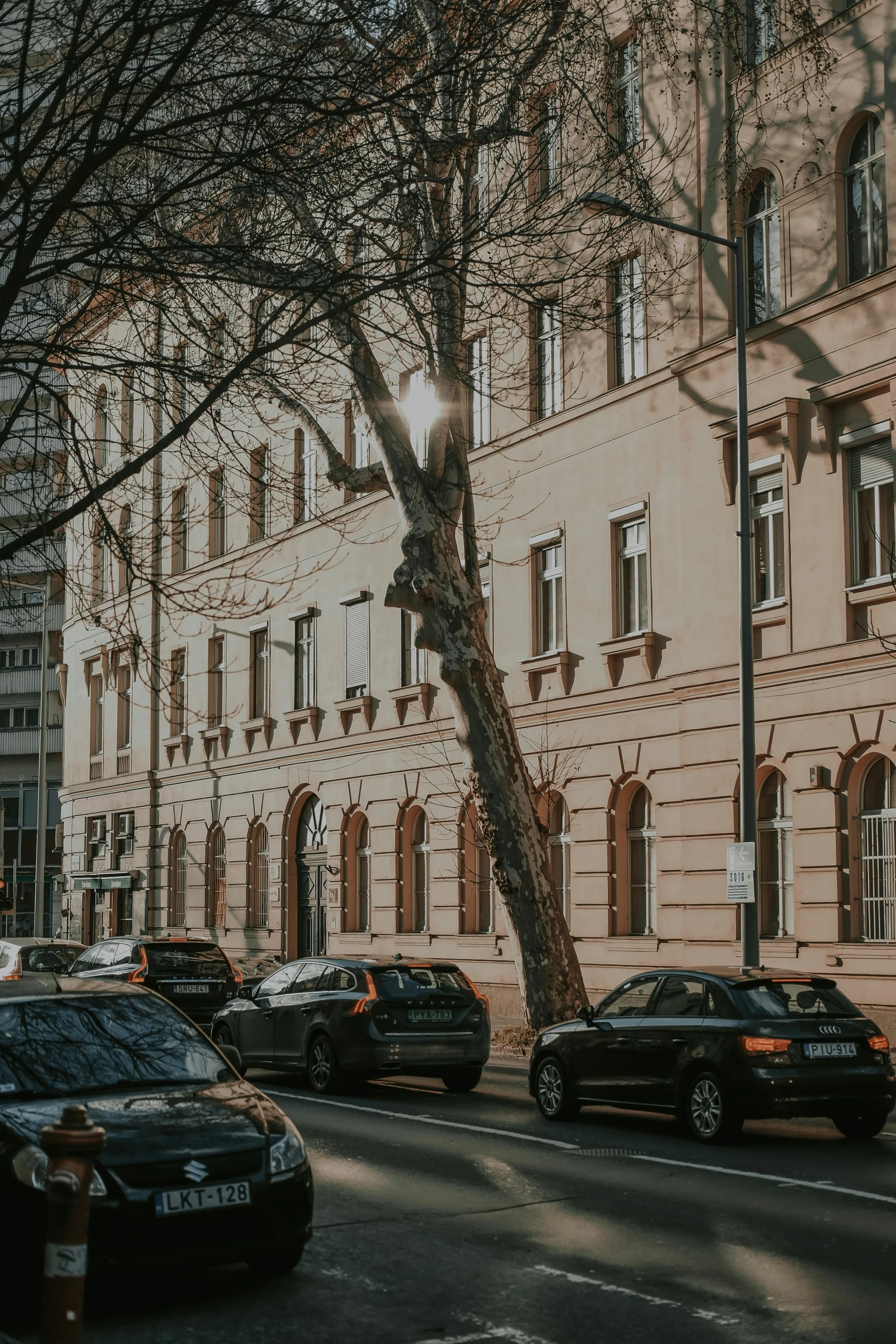 many cars are lined up on a city street