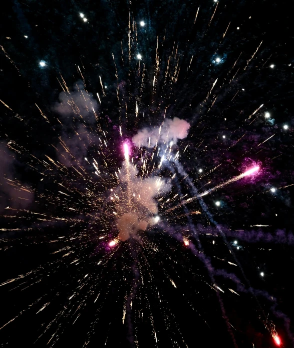 a large black and white firework in the sky