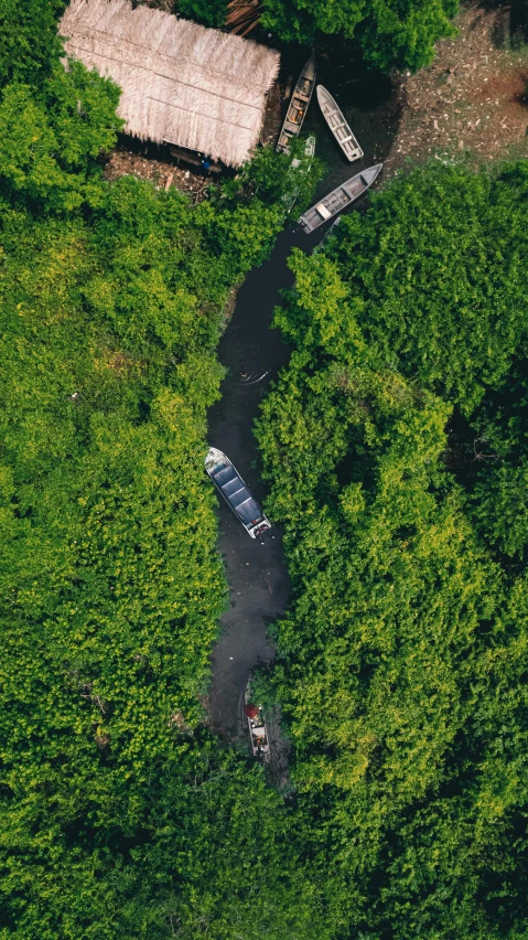 an aerial view of a river running through the middle of some trees