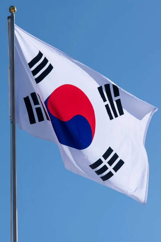 a flag of the country of korea flying high in the blue sky