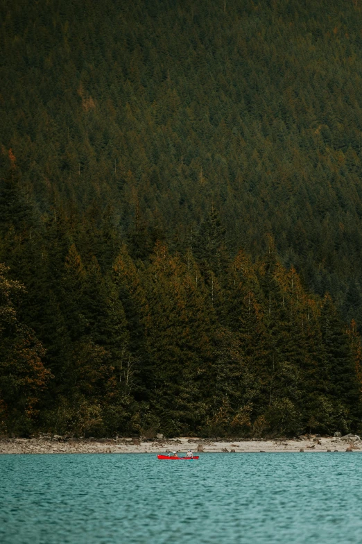 a red boat is out in the water with trees around