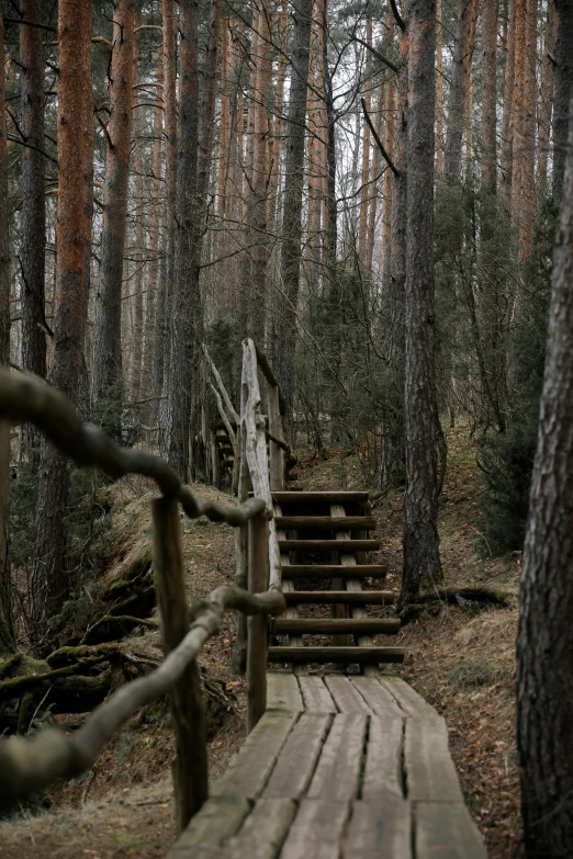 a wooden bridge crossing a small stream in the woods