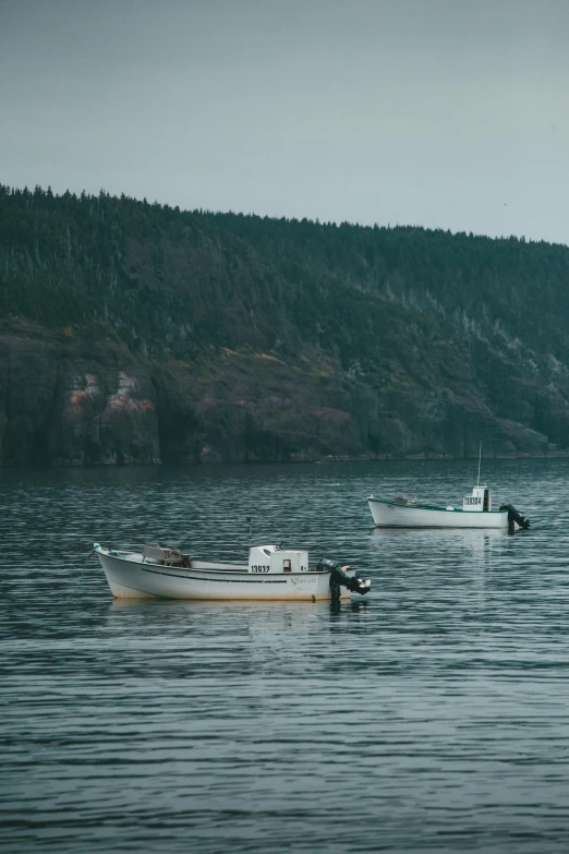 two boats in the water on an overcast day