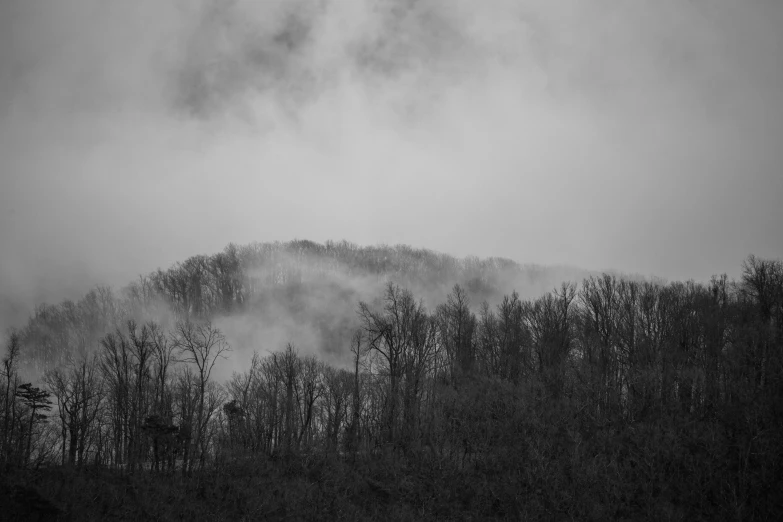 an airplane flying low over a group of trees