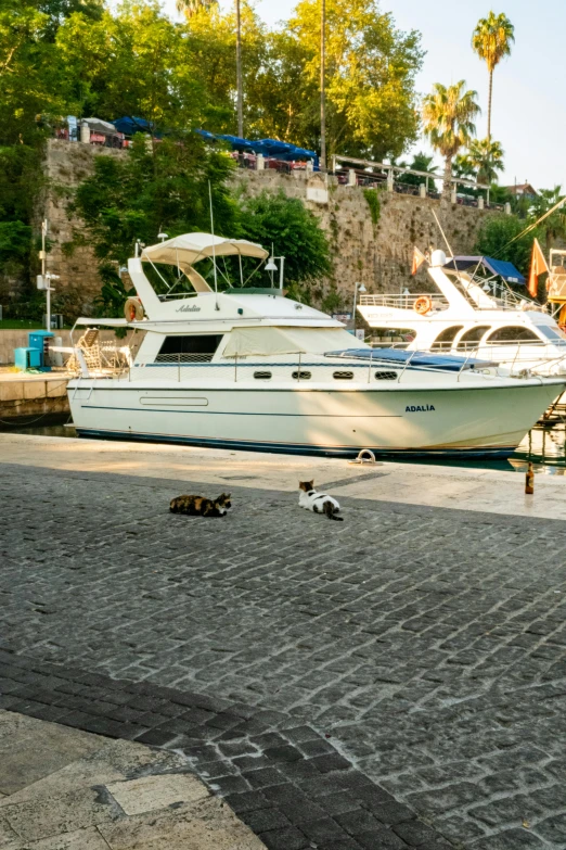 boats are parked next to the shore line of the marina