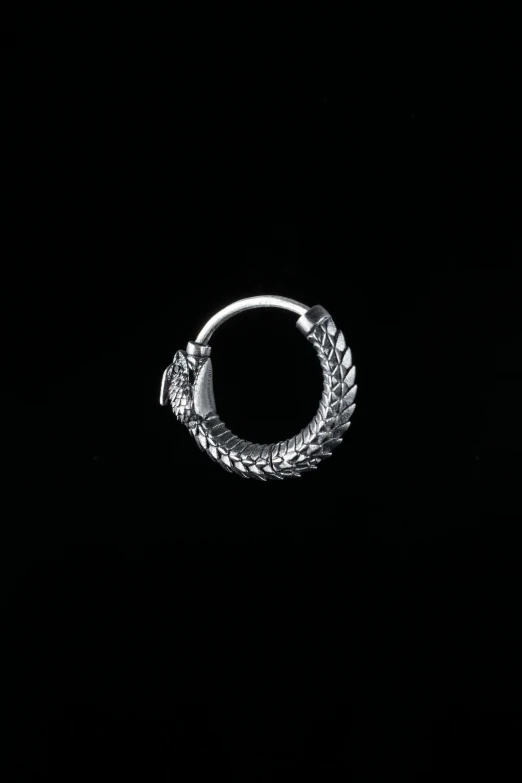 a black and white po of a ring