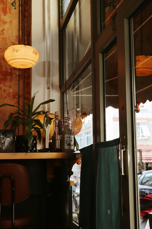 some plants are in an apartment with glass doors