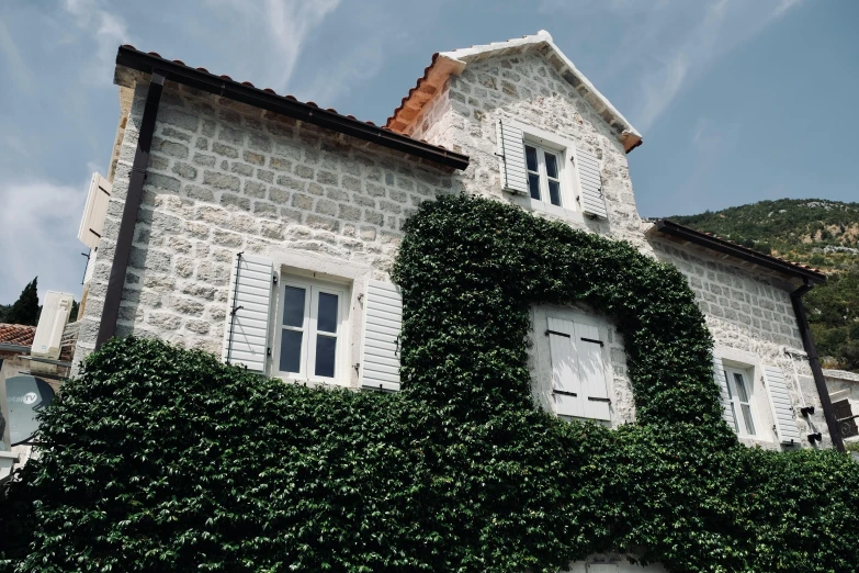 a house with white shutters covered in a plant covered wall