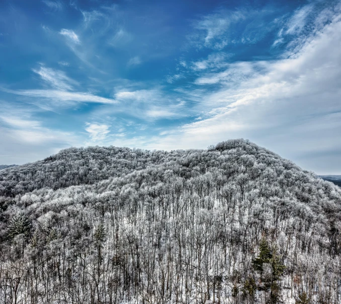 the top of a snow covered mountain, which has trees on it