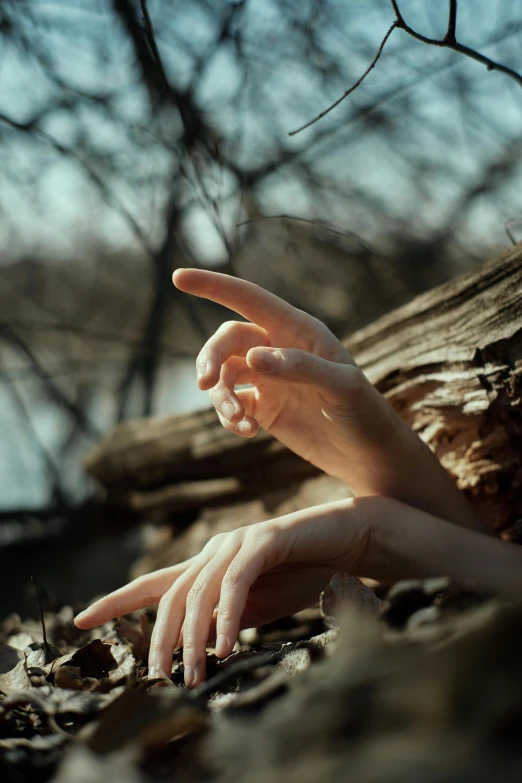 a person's hand reaches up through the leafy ground in front of a tree