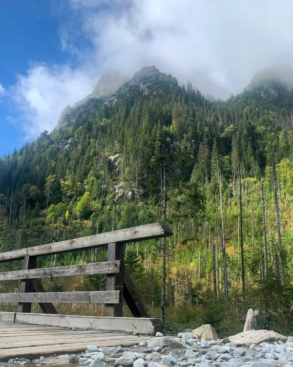 the wooden bridge on the rocks leads to a green mountain with tall trees