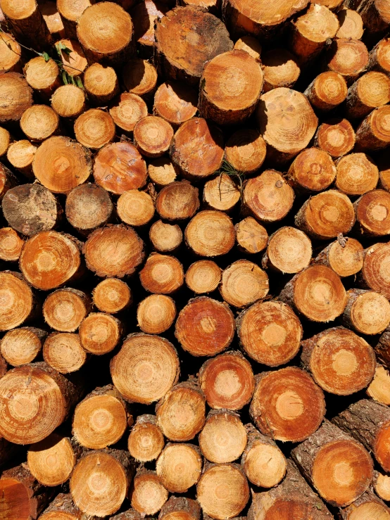 a stack of logs stacked on top of each other