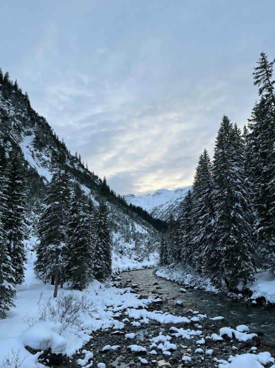 snowy mountains with trees and a creek below