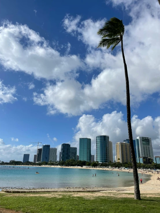 a view of the beach and city skyline from across the water