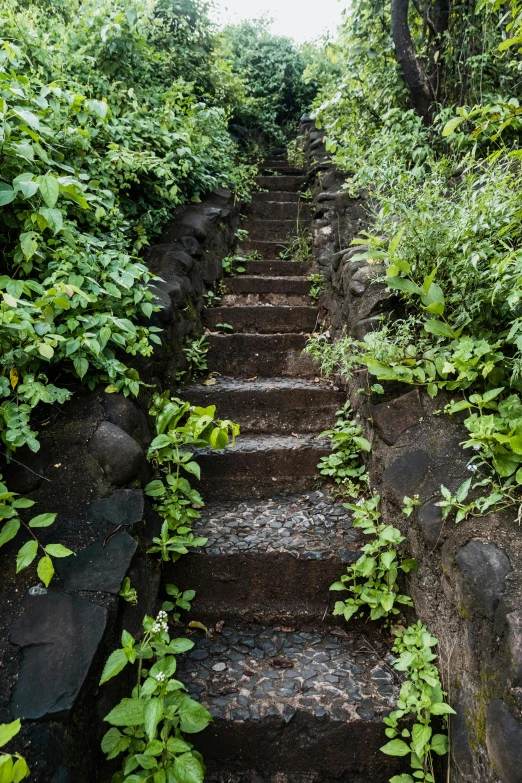 a bunch of stairs that lead to another place