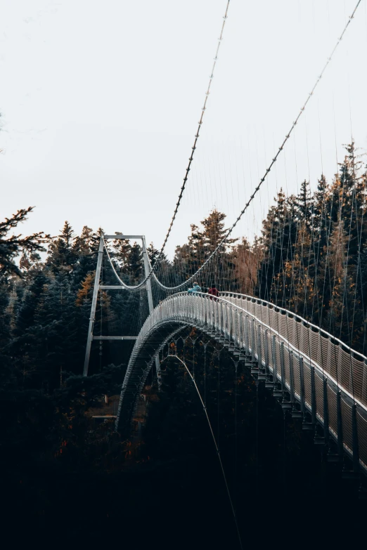 a suspension bridge on an overhang over a forest