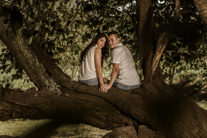 couple posing on tree with their hands together