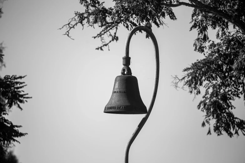 a bell hanging from a long, old tree nch