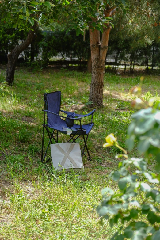 chair sitting in a grassy area near a tree