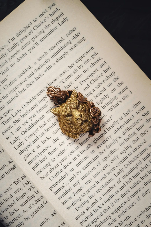 the golden brooch sits on top of a book