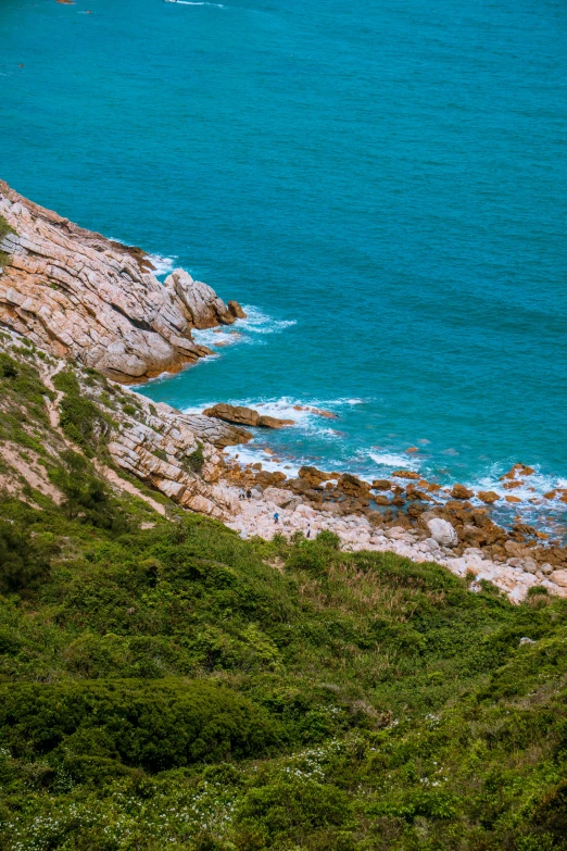 an ocean view with two birds on the water