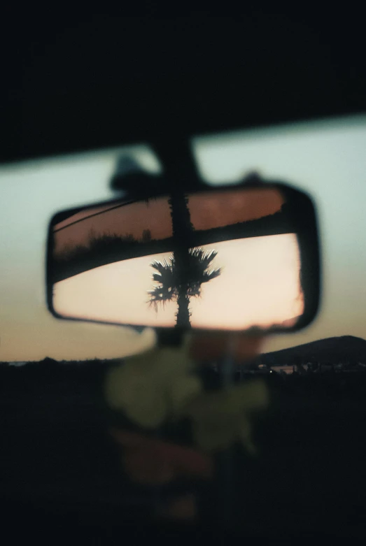 the inside view mirror is showing a lone palm tree in the background