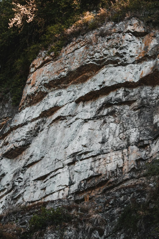 the rock face is white with brown markings