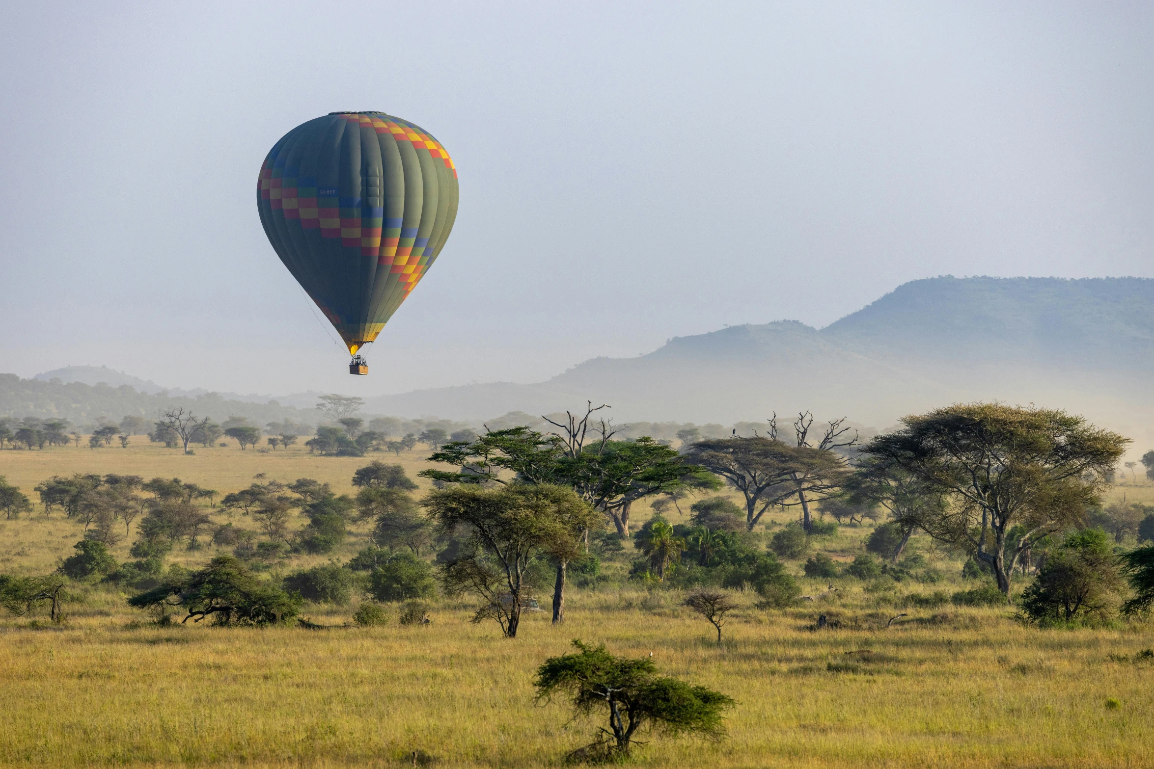  air balloon hovers over a field with grass and trees