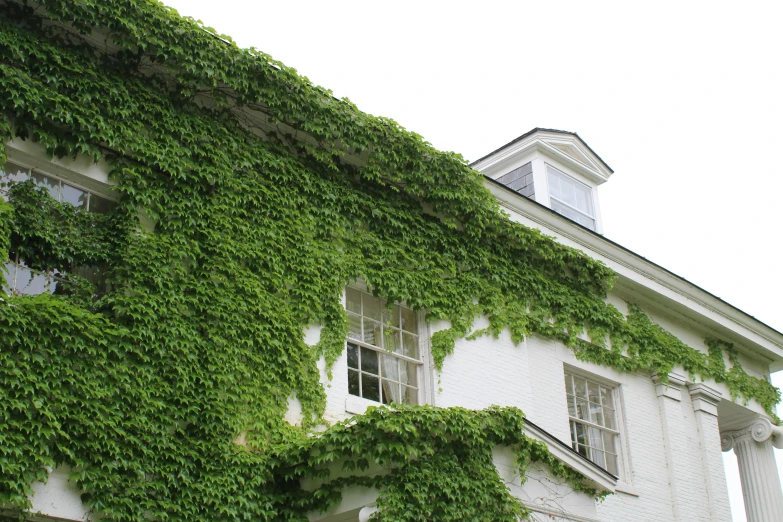 a building covered in green plants and ivy