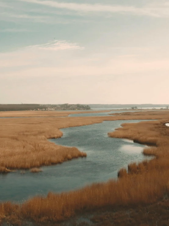 a marshy, brown marshland with some water running by