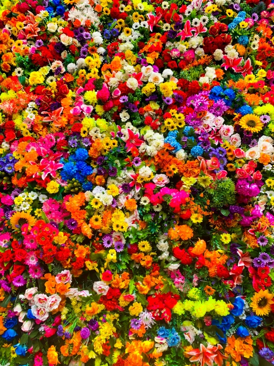 many bright and colorful flowers are in a flower bed