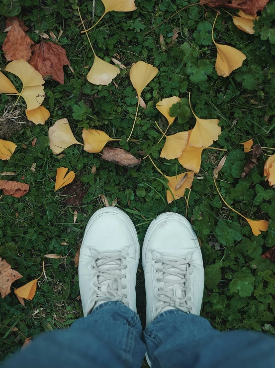 two feet standing in a leaf strewn grass