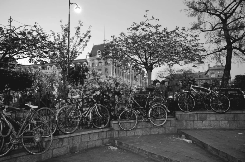 the bikes are parked on the side of the street near the trees