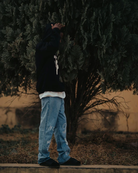 a  stands in front of a tree