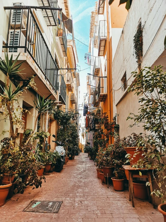 an alley way with pots and plants growing on the sides of buildings