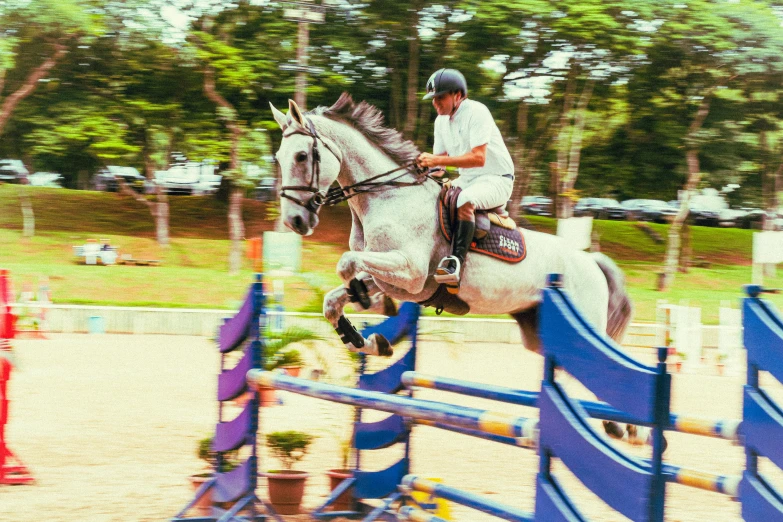 an equestrian and their horse jumping over barriers