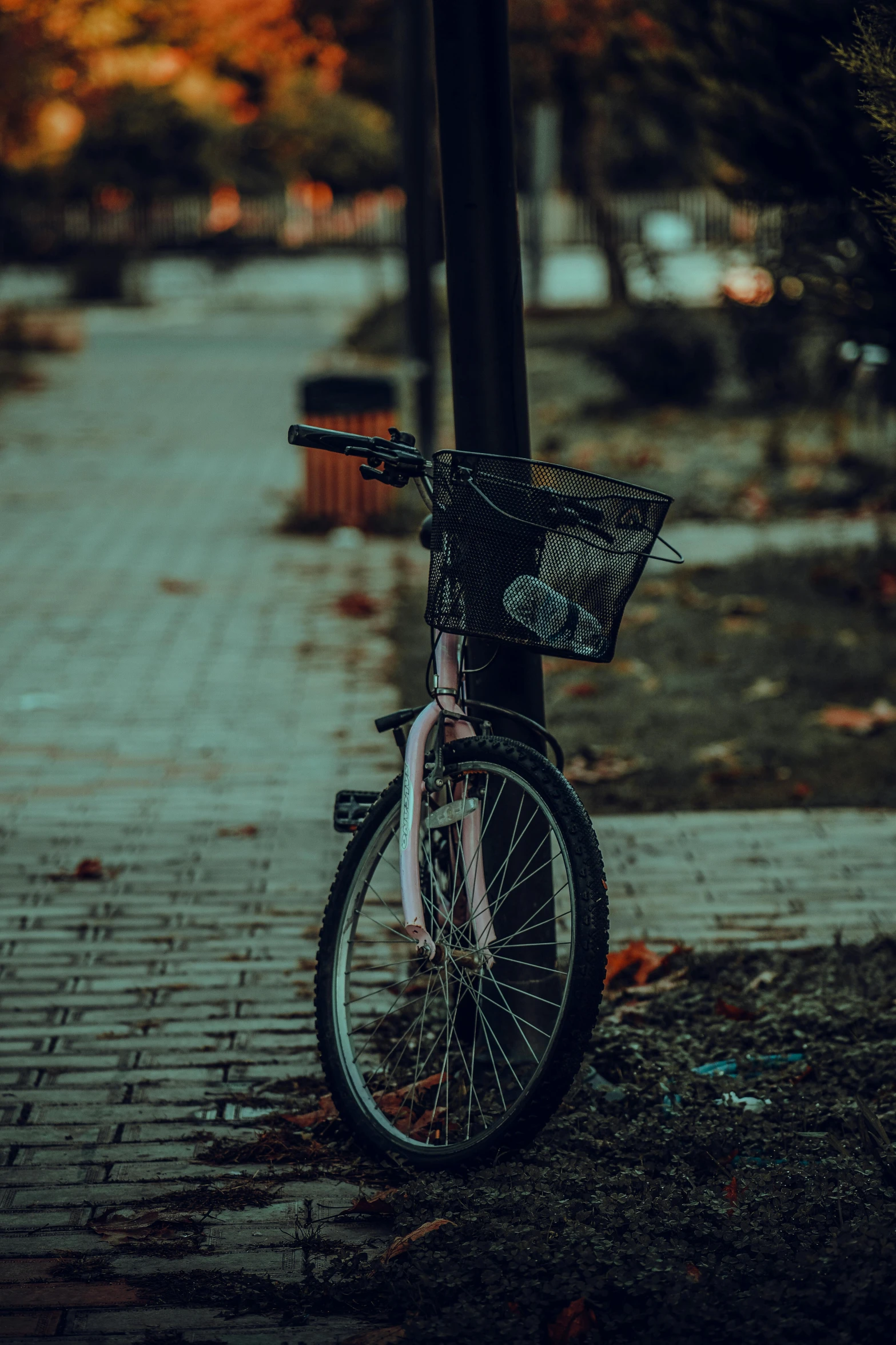 a bicycle is propped up against a pole