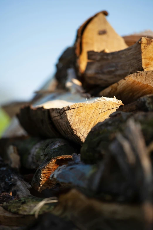 a large pile of chopped wood with clear sky in the background