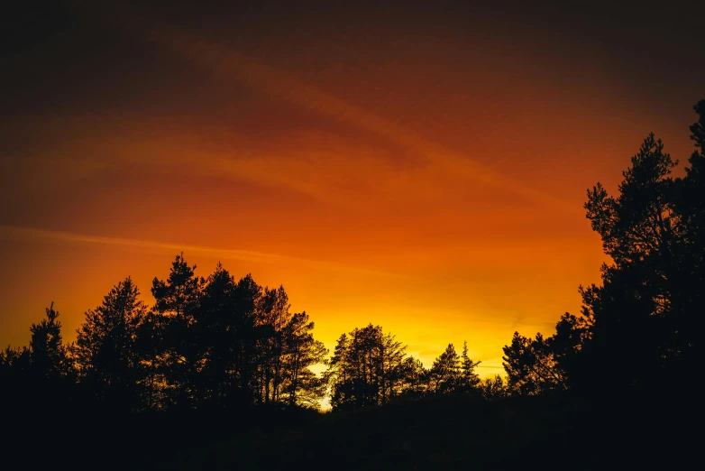 some trees are silhouetted against the orange sky