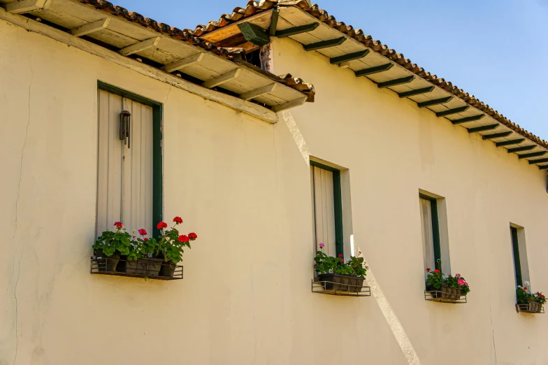 several windows and plants in planters of the front of an apartment building